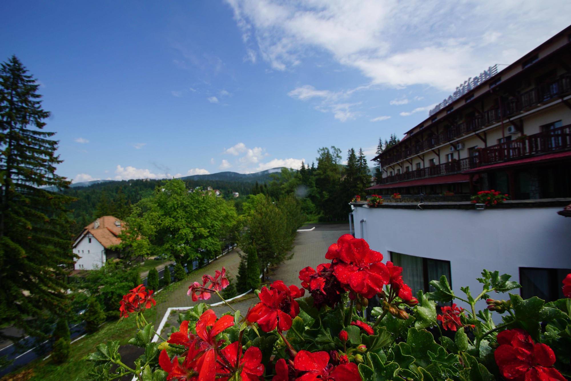 Hotel Rozmarin Predeal Exteriör bild